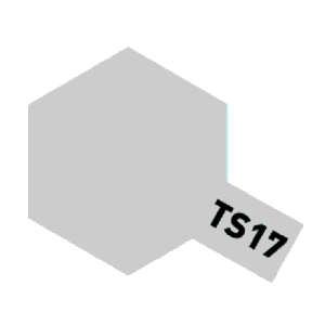 TS-17 Gloss Aluminum(유광)