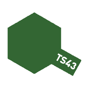 TS-43 Racing Green(유광)