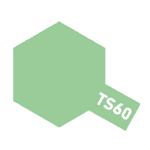 TS-60 Pearl green(유광)