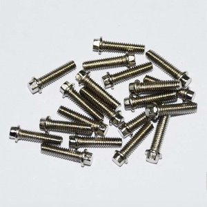 [#Z-S0417] Miniature Scale Hex Bolts (M2.5 x 10mm) (Silver)