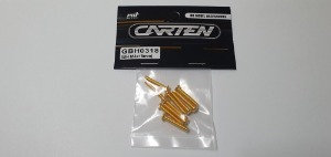 [매장입고][GBH0318] YFS 12.9 Gold Coating screw set - BH M3x18mm(10개)