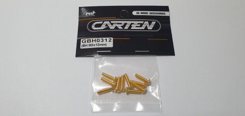[매장입고][GBH0312] YFS 12.9 Gold Coating screw set - BH M3x12mm(10개)