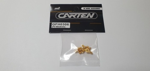 [매장입고][GFH0306] YFS 12.9 Gold Coating screw set - FH M3x6mm(10개)