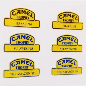 Boom Racing D110 Chassis Camel History Decal - Team Car D110 In 3 Years (14x12mm - 6개)