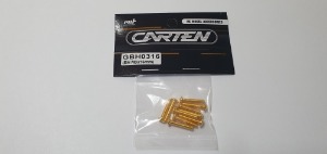 [매장입고][GBH0316] YFS 12.9 Gold Coating screw set - BH M3x16mm(10개)