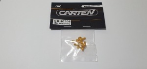 [매장입고][GBH0306] YFS 12.9 Gold Coating screw set - BH M3x6mm(10개)