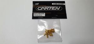 [매장입고][GFH0308] YFS 12.9 Gold Coating screw set - FH M3*8mm(10개)