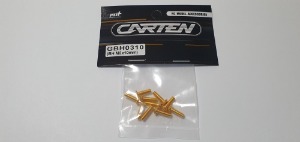 [매장입고][GBH0310] YFS 12.9 Gold Coating screw set - BH M3x10mm(10개)