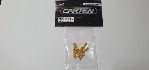 [매장입고][GFH0312] YFS 12.9 Gold Coating screw set - FH M3x12mm(10개)